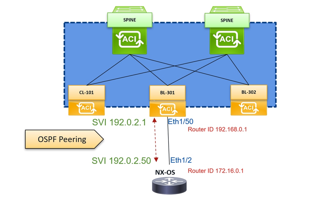 Troubleshoot Aci Ospf Adjacencies Cisco