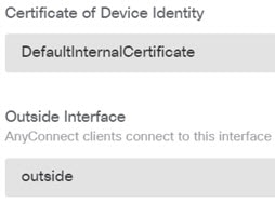 RA VPN certificate and interface.