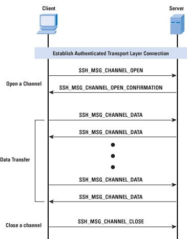 ssh4