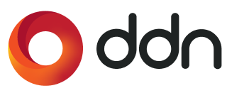 DDN logo