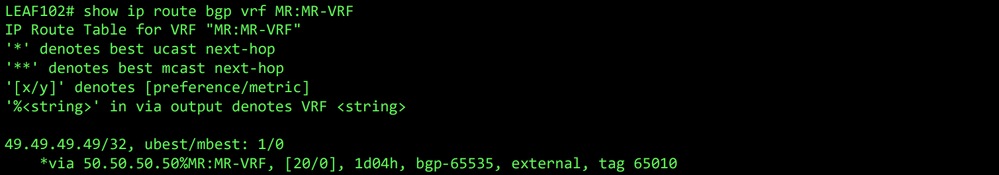 Implementaci N Del Routing De Tr Nsito De Aci Multipod Cisco