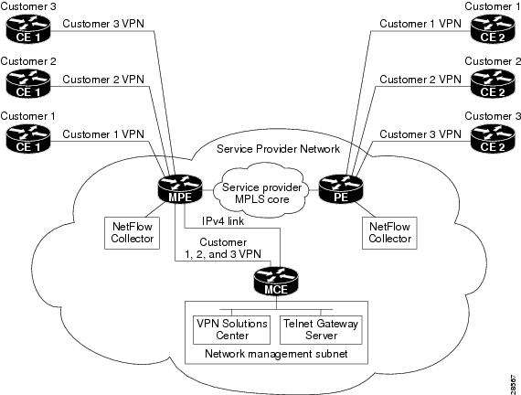 Figure 6-4 shows a typical topology for the Extranet Multiple VPN.