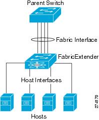 This connection bundles