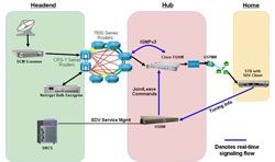 Switched Video Solution Diagram - Click to Enlarge