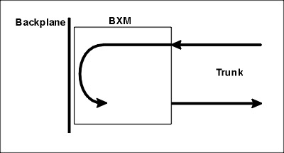 031398a.jpg