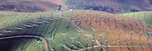 Wind powered turbine farm
