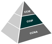CCIP