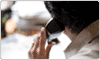Serve Customer Better