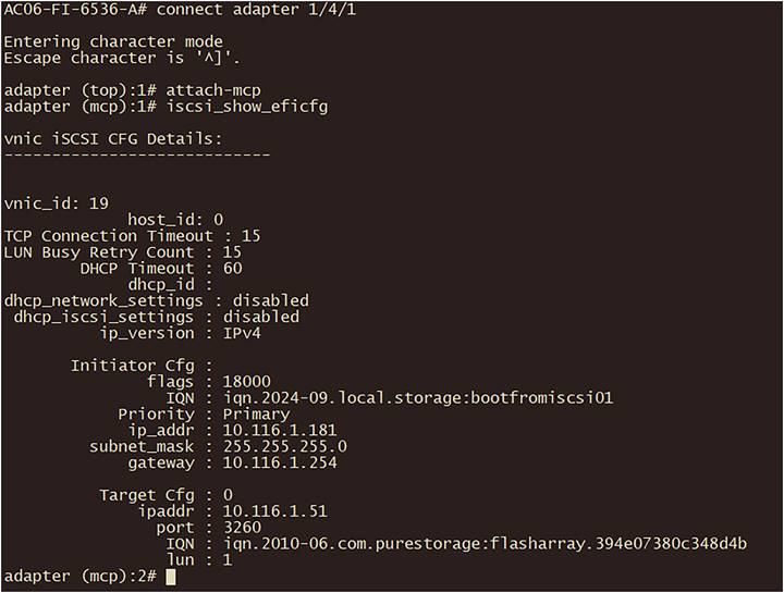 iSCSI verification in fabric interconnect.