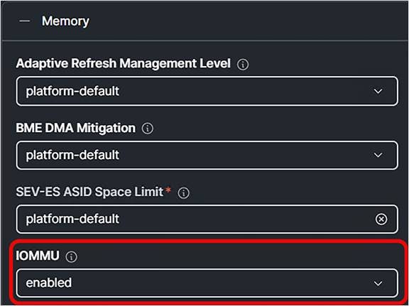 Enable Input/Output memory management unit in BIOS policy.