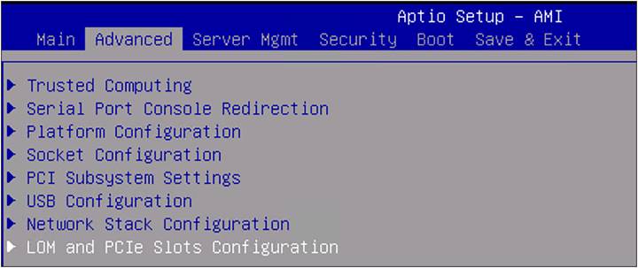 BIOS advanced settings.