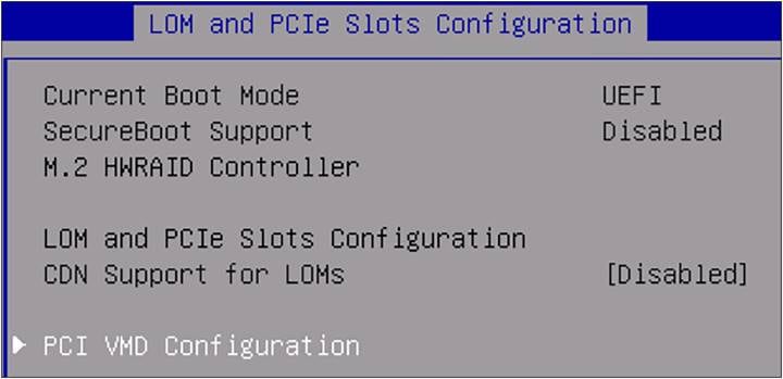 BIOS LOM and PCIe slots configuration.