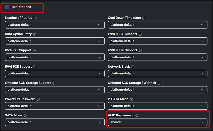 Intersight BIOS policy with VMD Enabled.