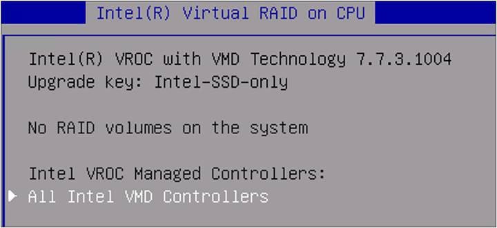BIOS Intel® virtual RAID on CPU.