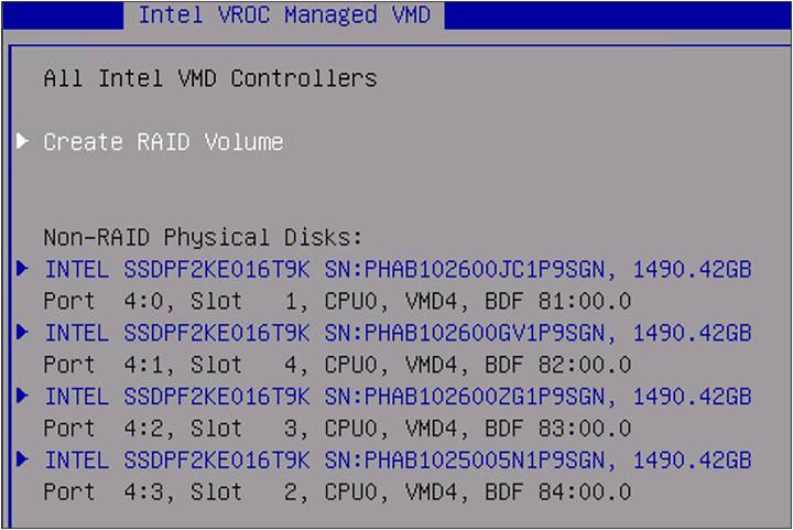 BIOS Intel VROC managed VMD.