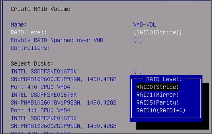 RAID level selection.