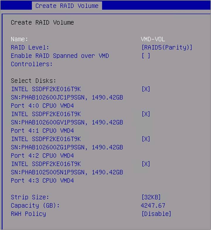 BIOS create RAID volume.