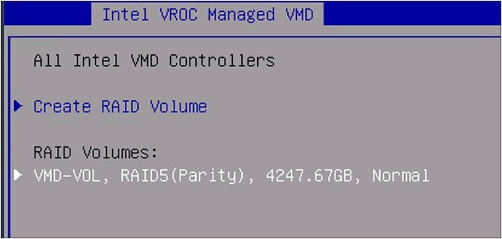 BIOS RAID volumes information.