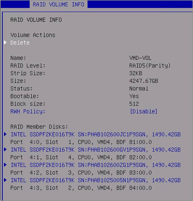 Detailed BIOS RAID volume information.