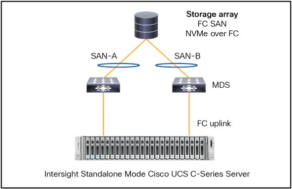 Fibre Channel topology with a standalone Cisco UCS C-Series server.