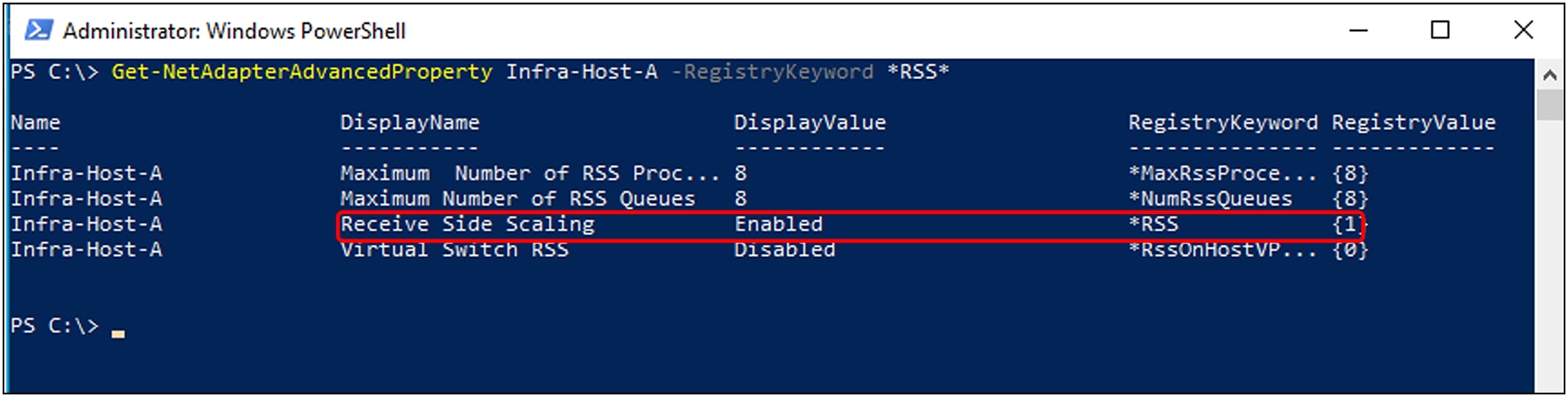 RSS feature enablement as shown in the Windows host operating system