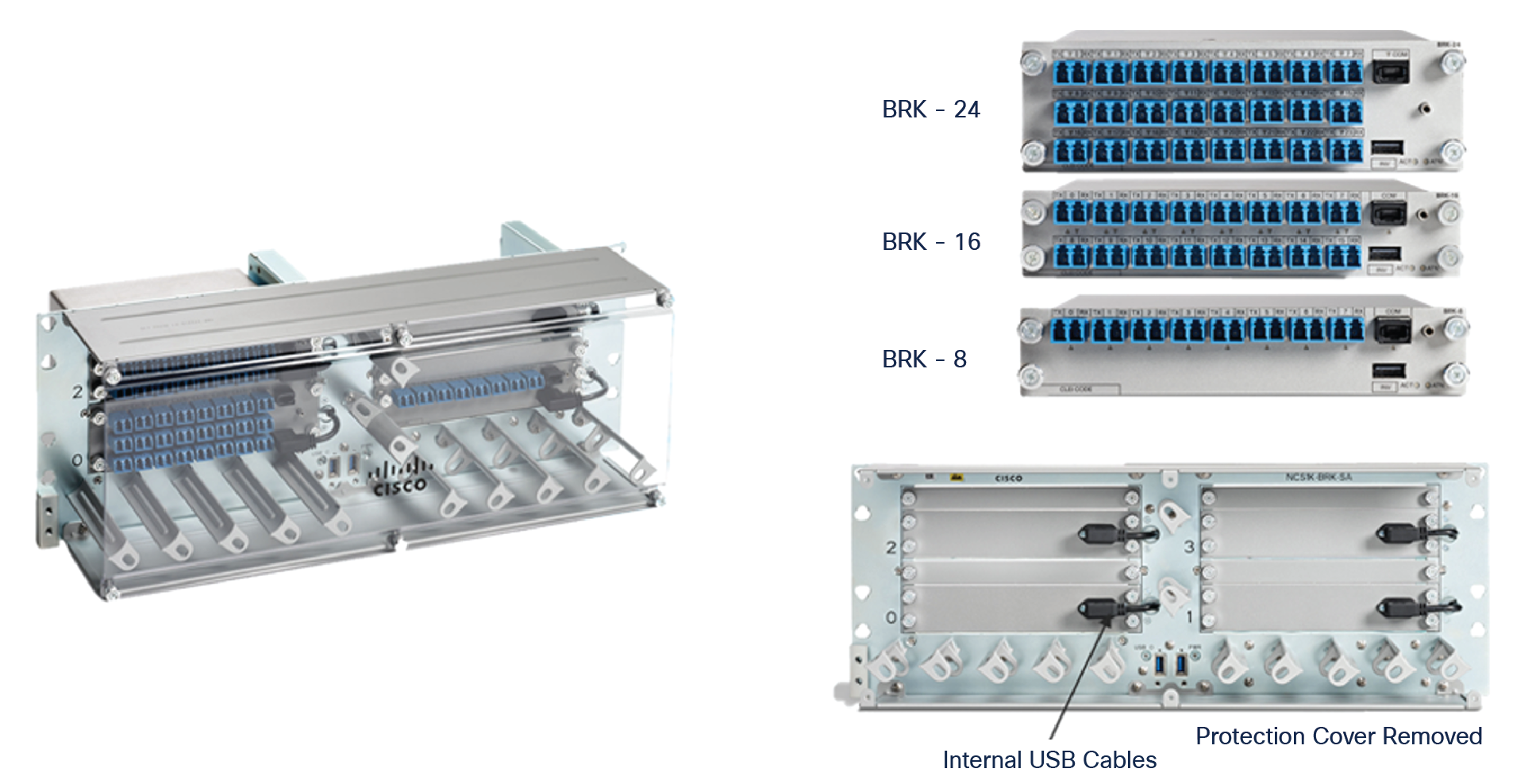 NCS 1010 BRK-SA and modules