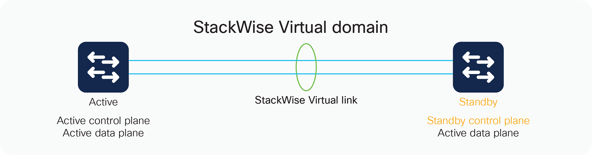 Components of StackWise Virtual