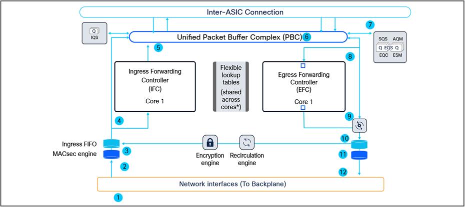 Multicast packet walk within the ASIC.