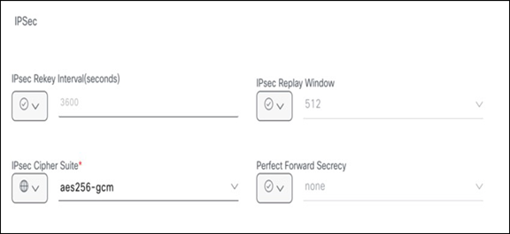 Cisco SD-WAN IPsec config