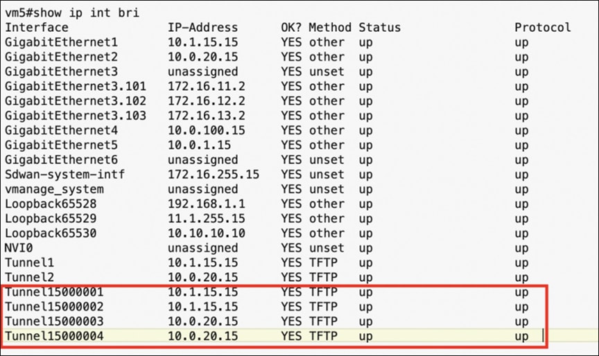 “Show interface” output from a branch edge device