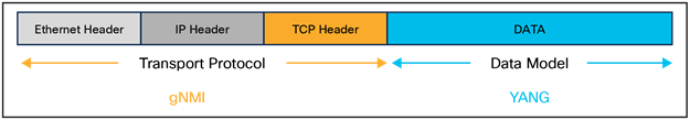 gNMI (Transport) & YANG (Data Modeling)