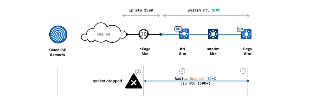 Packet drop topology