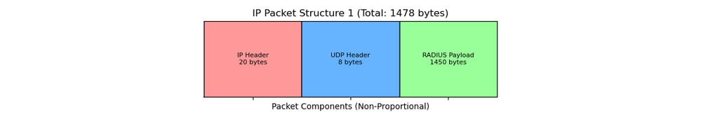 IP Packet Structure
