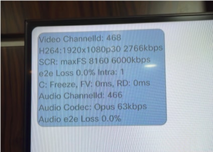 Audio and Video Statistics Shown on Monitor 1 of the Video Endpoint