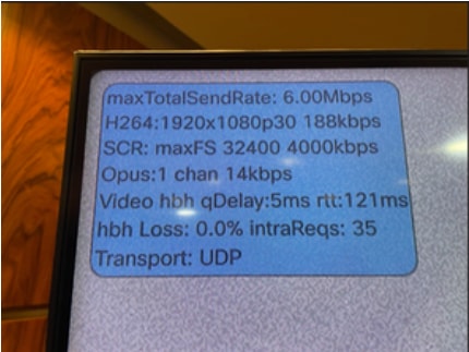 Audio and Video Statistics Shown on Monitor 2 of the Video Endpoint