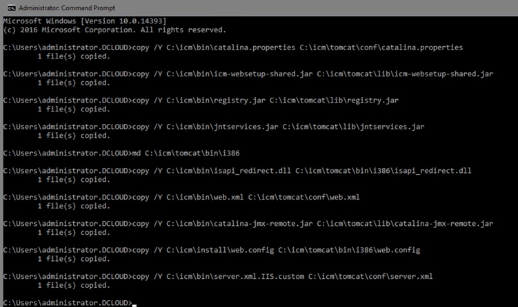 Proceed with Next Steps at Command Prompt