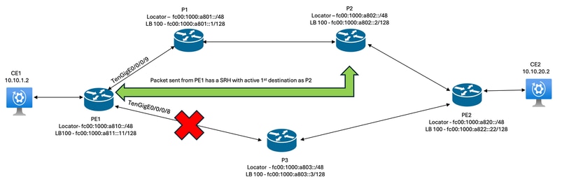 Path taken During MLA
