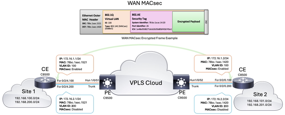 Topologie WAN MACsec