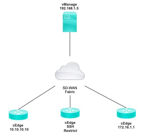 Topology of cEdge Router