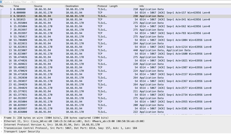 Packet Capture Screenshot