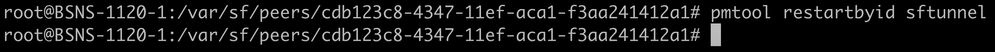 pmtool restartbyid sftunnel
