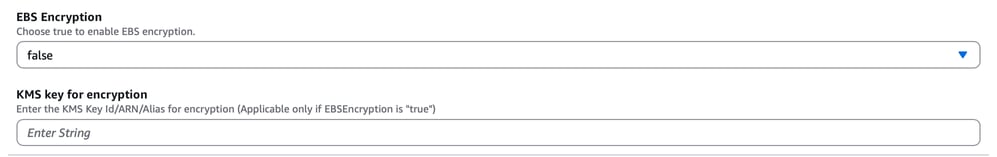 Set EBS Encryption to False