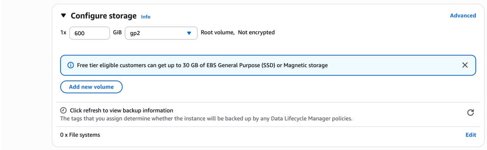 In the Configure Storage Section, Configure the Desire Volume Size
