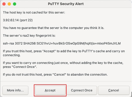 Click Accept to Confirm the SSH Key