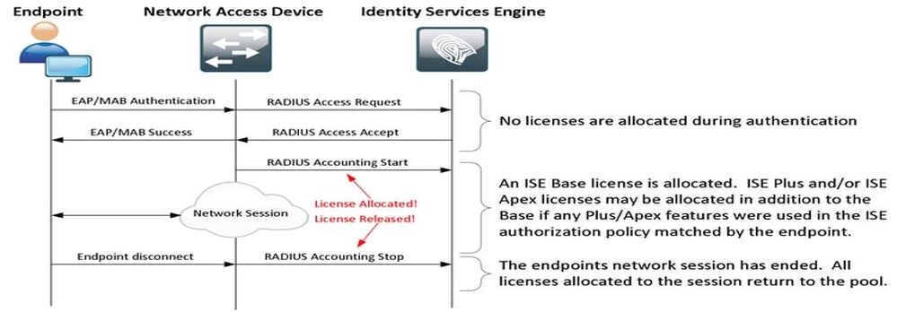 License Allocation