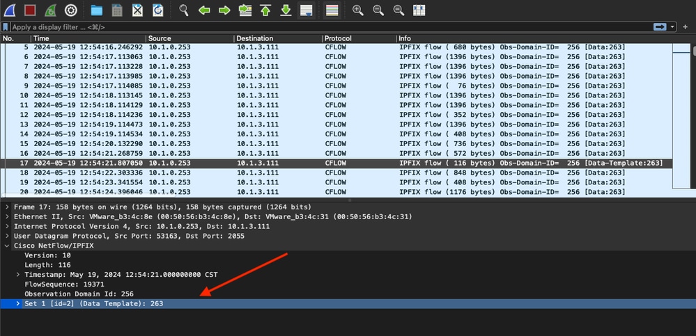 SS shows the template in Wireshark