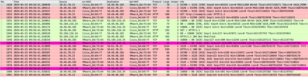 Imagem - dados em cache explícitos do HTTP