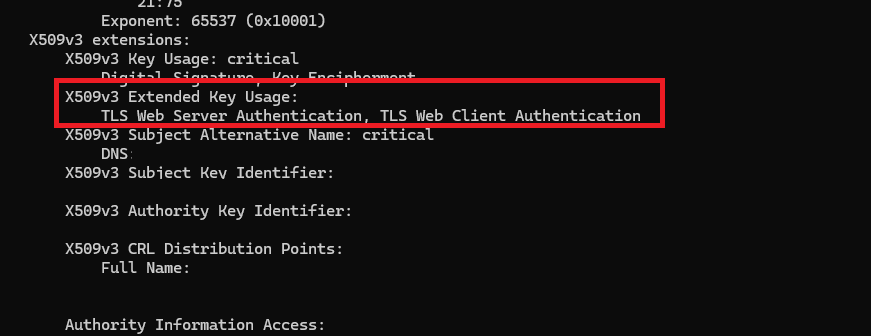 Webserver und Webclient-Autorisierungsschlüssel in Zertifikat angefordert
