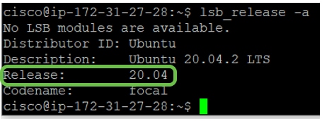 In this example, you see the console is running Ubuntu 20.04. 