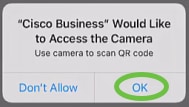 Click OK to allow access to the camera.